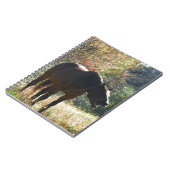 Carnet Cheval en automne (Côté gauche)