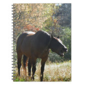 Carnet Cheval en automne (Devant)