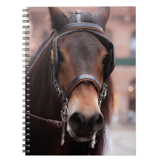 Carnet Cheval en brique (Devant)