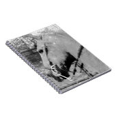 Carnet Cheval en noir et blanc (Côté Droit)