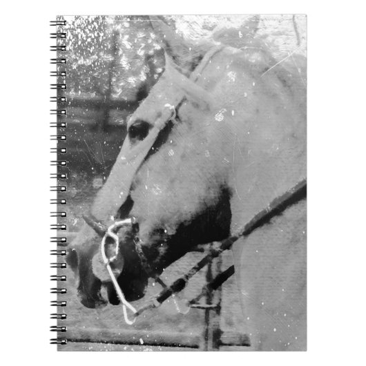 Carnet Cheval en noir et blanc (Devant)