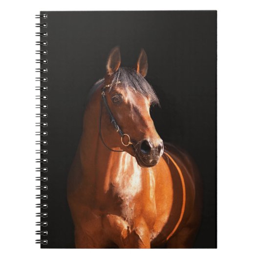 Carnet cheval folâtre au noir (Devant)