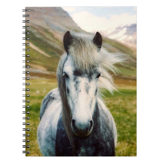 Carnet Cheval gris sauvage dans les montagnes (Devant)