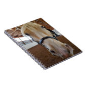 Carnet Cheval "Hi" (Côté Droit)