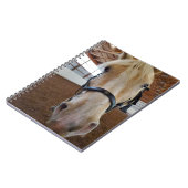 Carnet Cheval "Hi" (Côté gauche)