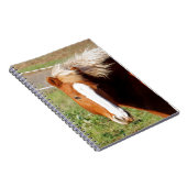 Carnet Cheval islandais 001 (Côté Droit)