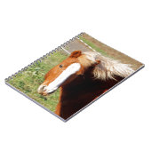 Carnet Cheval islandais 001 (Côté gauche)