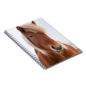 Carnet Cheval islandais en hiver (Côté Droit)