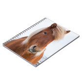 Carnet Cheval islandais en hiver (Côté gauche)