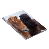 Carnet Cheval islandais en hiver en Islande (Côté Droit)