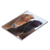 Carnet Cheval islandais en hiver en Islande (Côté gauche)