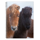 Carnet Cheval islandais en hiver en Islande (Devant)