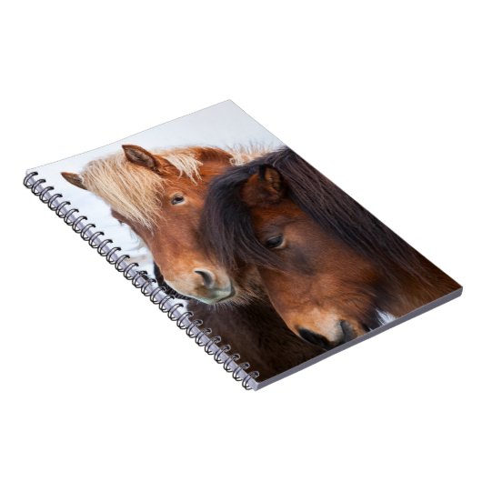 Carnet Cheval islandais en hiver en Islande (Côté Droit)