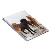 Carnet Cheval islandais en hiver en Islande (Côté Droit)