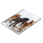 Carnet Cheval islandais en hiver en Islande (Côté gauche)