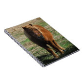 Carnet Cheval miniature Brown (Côté Droit)
