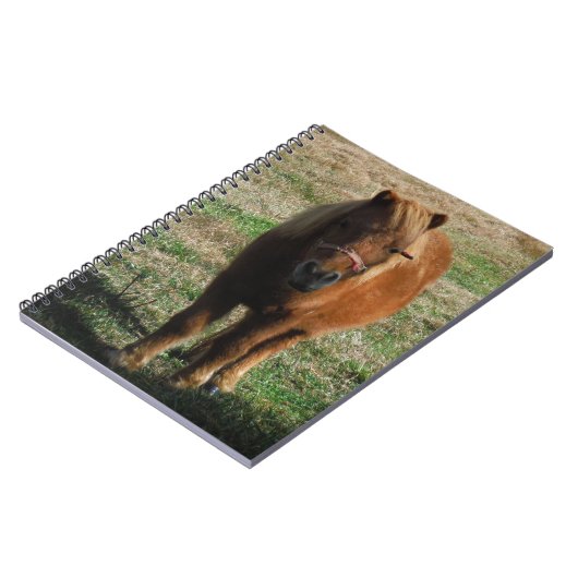 Carnet Cheval miniature Brown (Côté gauche)
