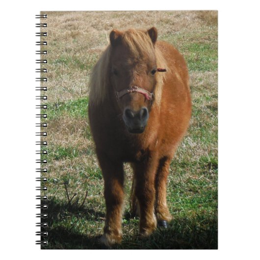 Carnet Cheval miniature Brown (Devant)