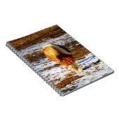 Carnet Cheval miniature Brown et crème dans la neige. (Côté Droit)