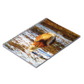 Carnet Cheval miniature Brown et crème dans la neige. (Côté gauche)