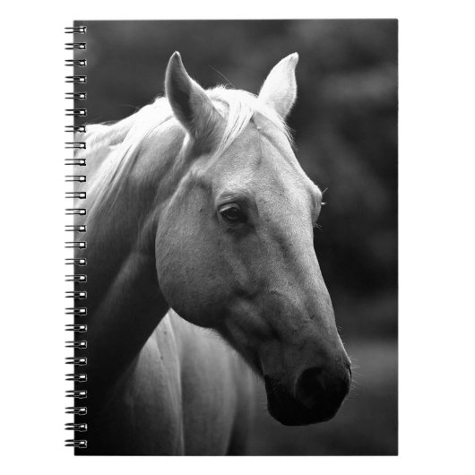 Carnet Cheval noir blanc (Devant)