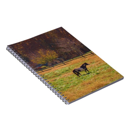 Carnet Cheval peint à distance (Côté Droit)