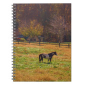 Carnet Cheval peint à distance (Devant)