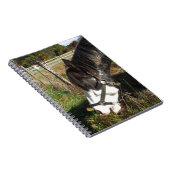 Carnet Cheval Peint, Manger Reine Ann Fleur dentelle (Côté Droit)