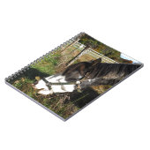 Carnet Cheval Peint, Manger Reine Ann Fleur dentelle (Côté gauche)