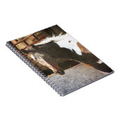 Carnet Cheval Pinto (Côté Droit)