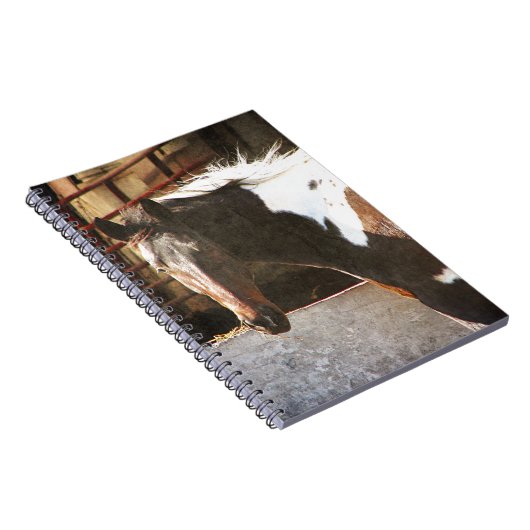 Carnet Cheval Pinto (Côté Droit)