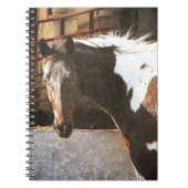 Carnet Cheval Pinto (Devant)