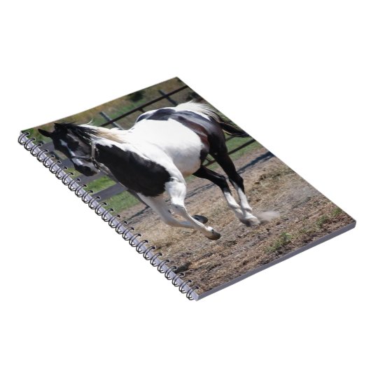 Carnet Cheval Pinto Paint (Côté Droit)