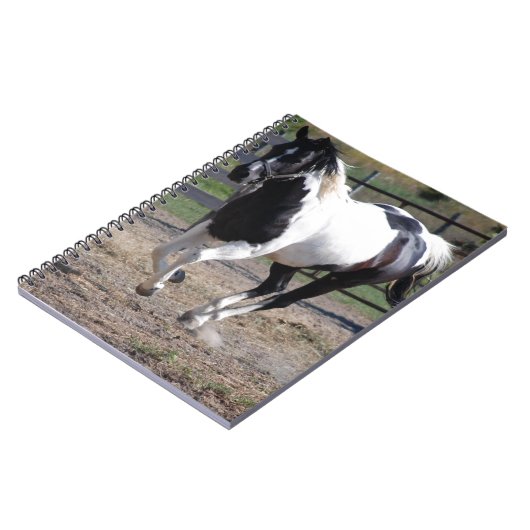 Carnet Cheval Pinto Paint (Côté gauche)