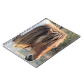 Carnet cheval sauvage (Côté gauche)