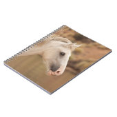 Carnet Cheval sauvage blanc (Côté gauche)