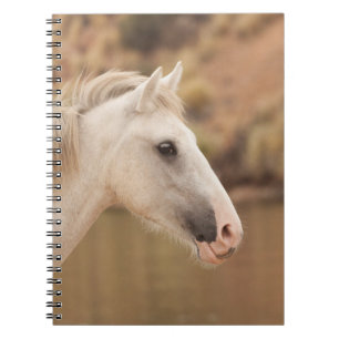 Carnet Cheval sauvage blanc
