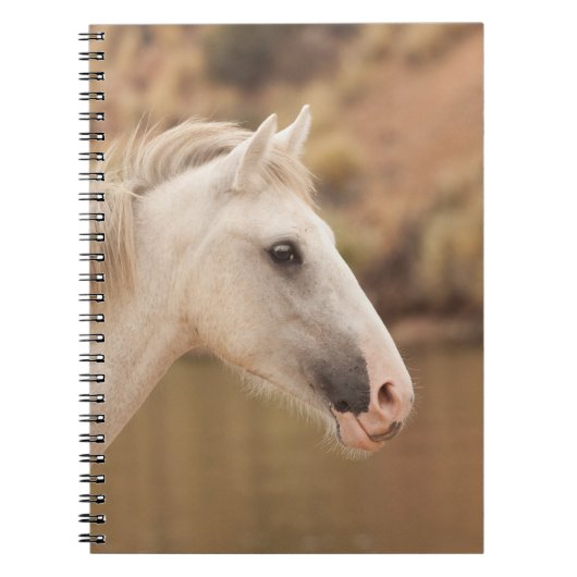 Carnet Cheval sauvage blanc (Devant)
