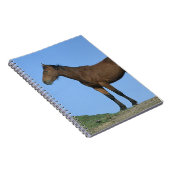 Carnet Cheval sauvage de mustang (Côté Droit)