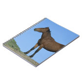 Carnet Cheval sauvage de mustang (Côté gauche)