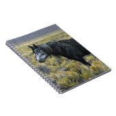 Carnet Cheval sauvage de mustang dans le désert (Côté Droit)