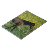 Carnet Cheval sauvage de mustang se tenant en fleurs (Côté gauche)