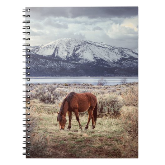 Carnet Cheval sauvage : Paysage hivernal du Nevada. (Devant)