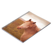 Carnet cheval sauvage vintage (Côté gauche)