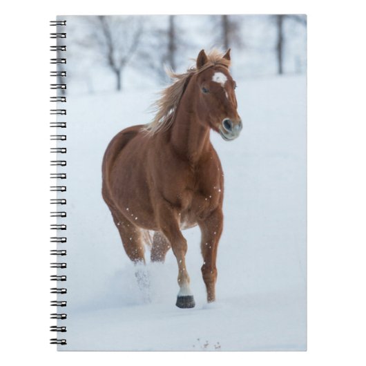 Carnet Cheval seul courant dans la neige (Devant)