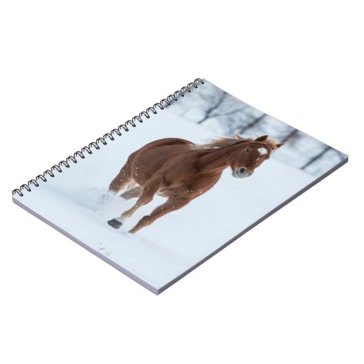 Carnet Cheval simple courant dans la neige (Côté gauche)