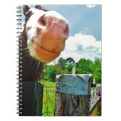 Carnet Cheval souriant (Devant)