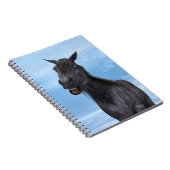 Carnet Cheval souriant (Côté Droit)