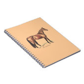Carnet Cheval Thoroughbred (Côté Droit)