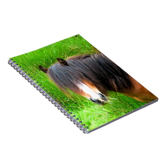 CARNET CHEVAUX (Côté Droit)